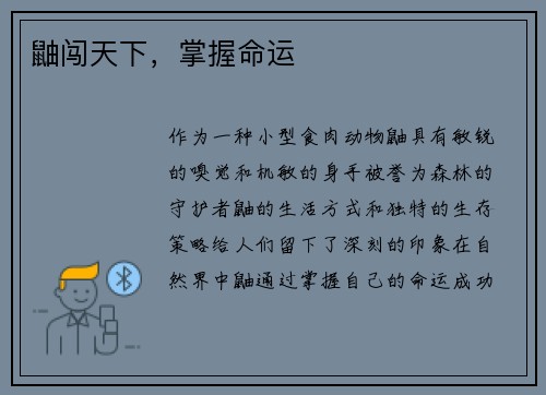 鼬闯天下，掌握命运